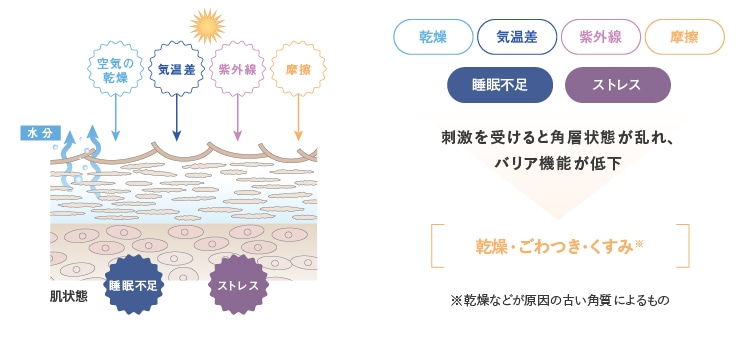 乾燥、気温差、紫外線、摩擦、睡眠不足、ストレス、刺激を受けると角層状態が乱れ、バリア機能が低下【乾燥・ごわつき・くすみ※】※感想などが原因の古い角質によるもの