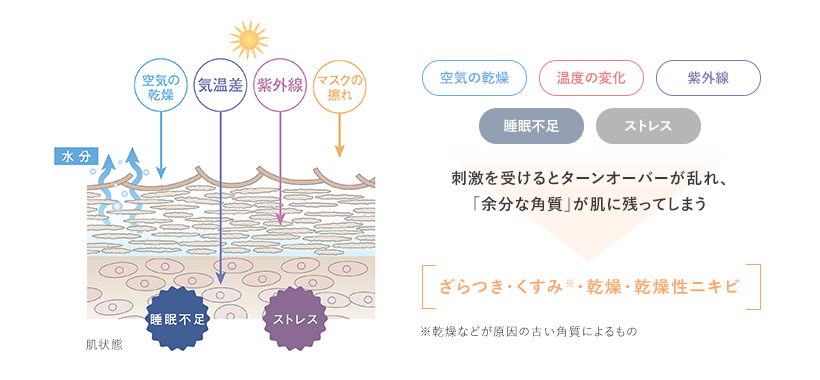 空気の乾燥温度の変化紫外線睡眠不足ストレス刺激を受けるとターンオーバーが乱れ、 「余分な角質」が肌に残ってしまうざらつき・くすみ※・乾燥・乾燥性ニキビ※乾燥などが原因の古い角質によるもの