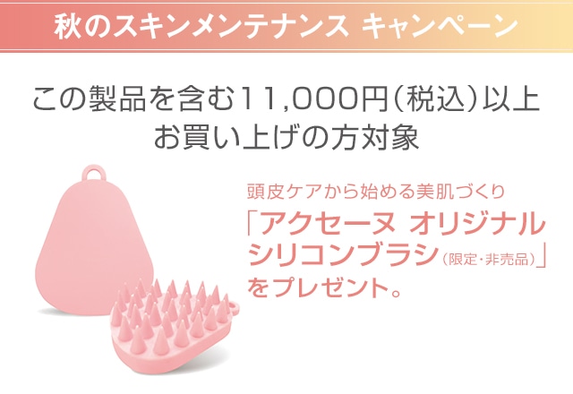 キャンペーン