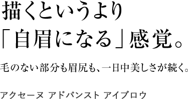 描くというより
「自眉になる」感覚。
毛のない部分も眉尻も、一日中美しさが続く。
アクセーヌ アドバンスト アイブロウ