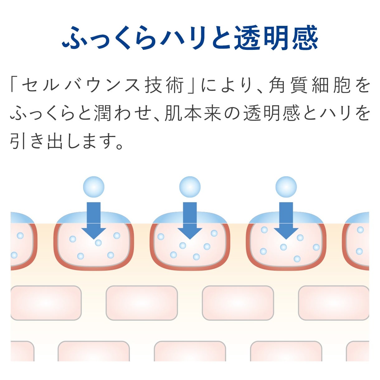 モイストバランス ローション 360ml